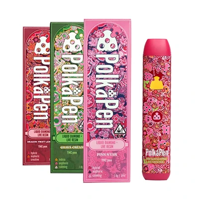 Polkadot polka penn 2g disponible